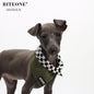 Checkered Bandana Scarf | BITEONE